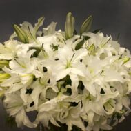 White Casablanca In A Vase - beverlyhillsflorist