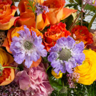 Whispers of Bloom - A Springtime Love Story - beverlyhillsflorist