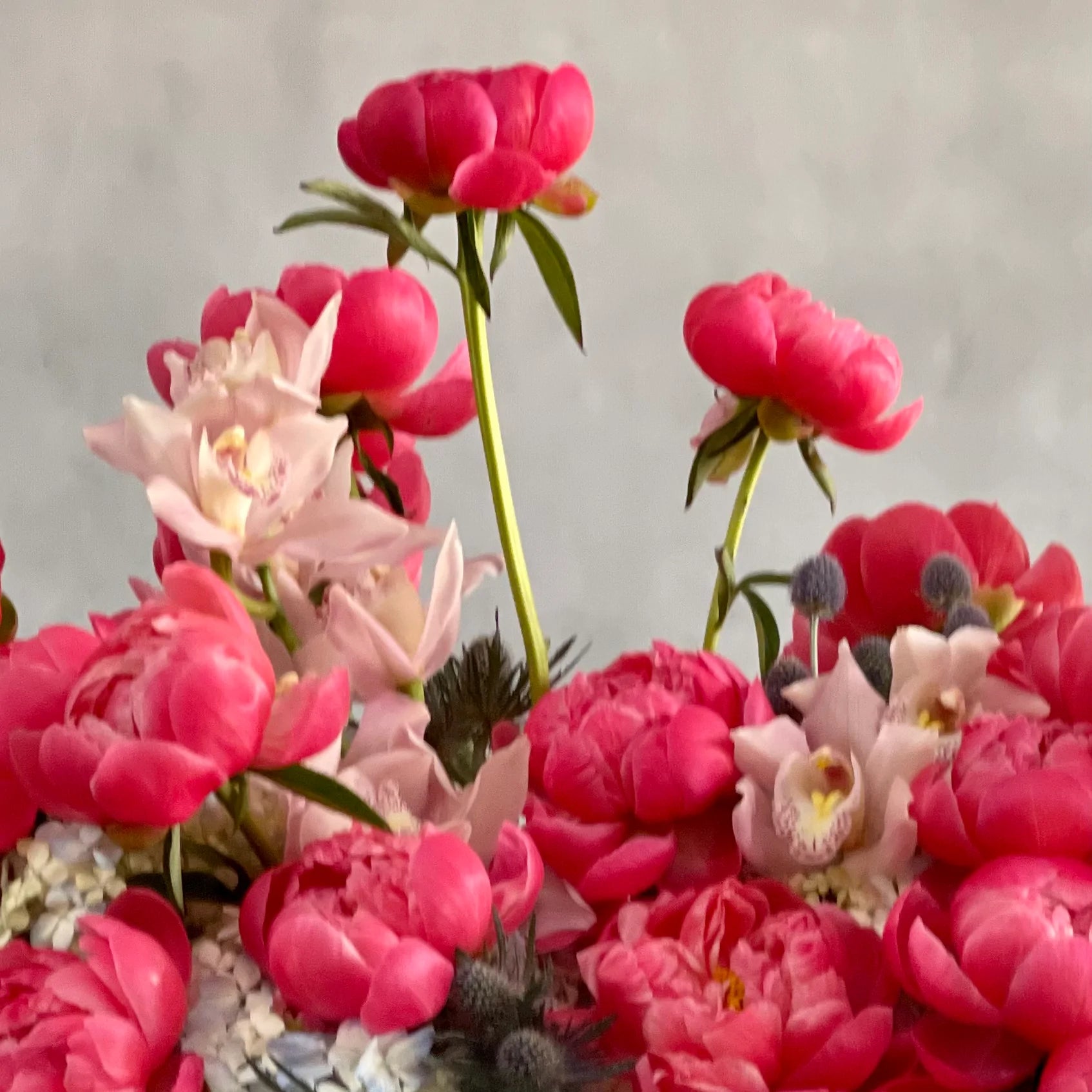 Valentines - A touch of Perfection - beverlyhillsflorist