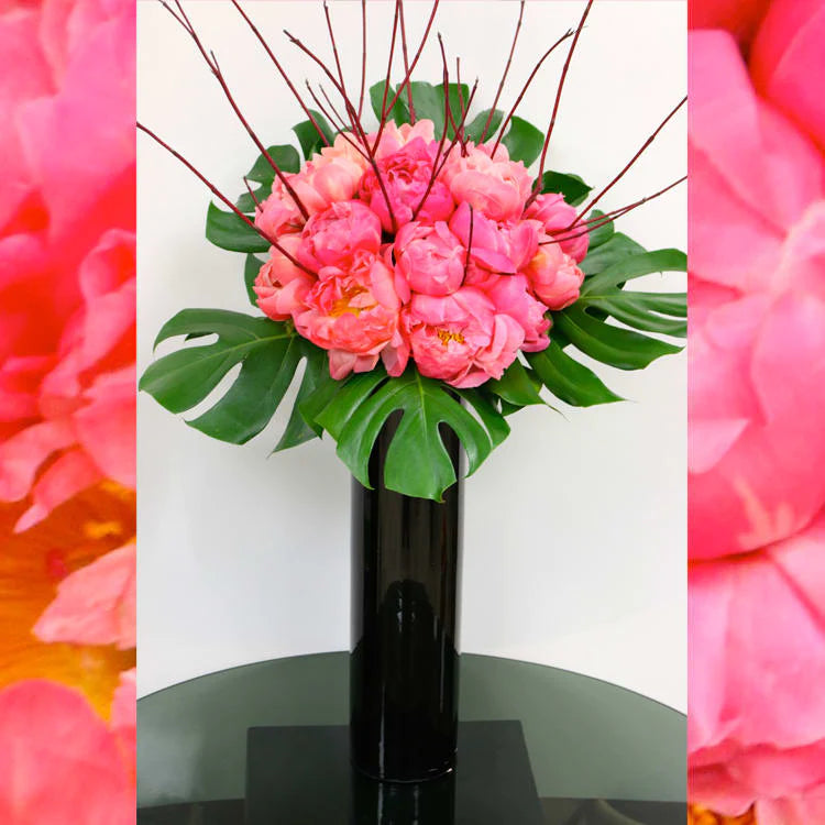 cp Beverly Hills Florist presents same day delivery for our Celestial Peonies. Perfect for love and romance, decore, Birthdays and more ! Consists of beautiful Peonies, seasonal greens and is accented with a tall black vase!