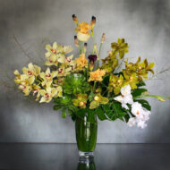 Tropic Thunder - beverlyhillsflorist