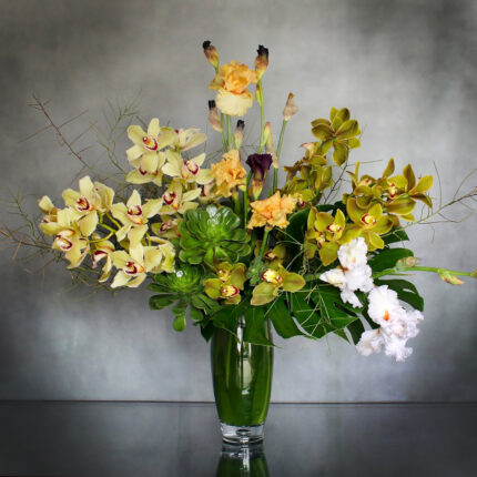 Tropic Thunder - beverlyhillsflorist