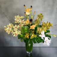 Tropic Thunder - beverlyhillsflorist