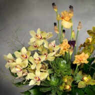 Tropic Thunder - beverlyhillsflorist