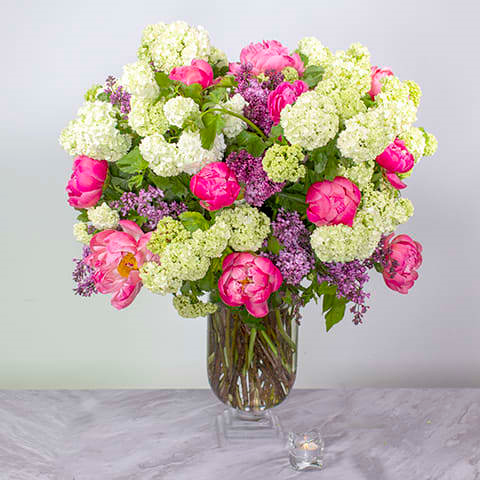 d1 Delightful.... - beverlyhillsflorist