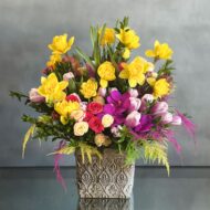 Daff -a- Delicious - beverlyhillsflorist