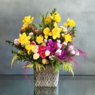 Daff -a- Delicious - beverlyhillsflorist