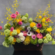 Beverly Hills Florsit presents to you this beautiful basket of happiness for same day delivery. Perfect for Birthdays, Love and romance, Welcomes and more ! Includes, Peonies, Hydrangeas accented with Lilacs and other seasonal blooms!