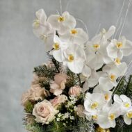 Sandy.... Holiday Designers Choice - beverlyhillsflorist