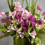 Frenchie - beverlyhillsflorist