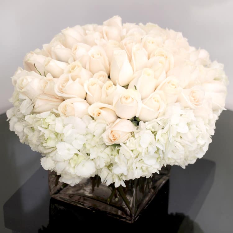 height-of-elegance-white-roses-hydrangeas-glass-vase-beverly-hills-florist Height of Elegance bouquet with white roses and frilly hydrangeas in an 8x8 glass vase – available for same-day delivery by Beverly Hills Florist.