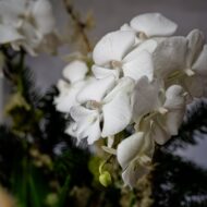 Elegant white orchid holiday arrangement in a round white ceramic vase with festive holiday accents.
