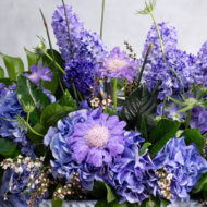 Lavender Dreams - A Blue Horizon - beverlyhillsflorist