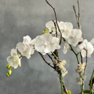 Perfect Harmony - beverlyhillsflorist