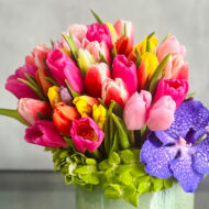 Tulip Tapenade - beverlyhillsflorist