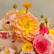 Pink Afterglow - beverlyhillsflorist