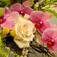 Pastel Magnificence - beverlyhillsflorist