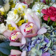 Designer Choice - Elegant Embrace - beverlyhillsflorist