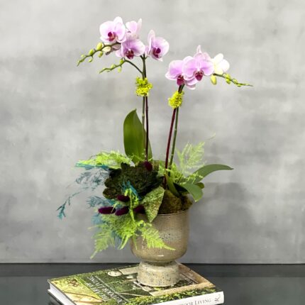 Mimi Orchids - beverlyhillsflorist