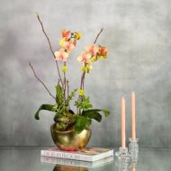 Peach Scene - beverlyhillsflorist