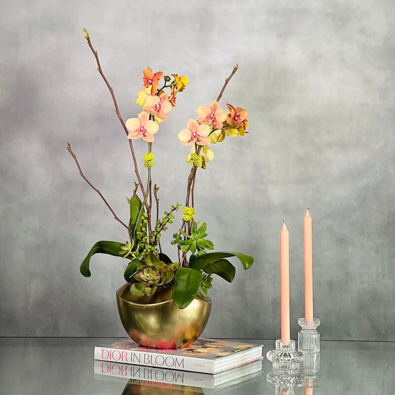 Peach Scene - beverlyhillsflorist