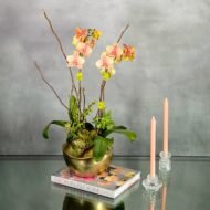 Peach Scene - beverlyhillsflorist