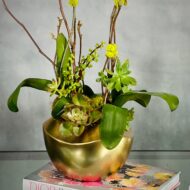 Peach Scene - beverlyhillsflorist