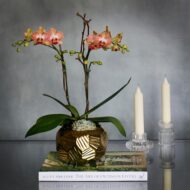 Geometric & Bronze - beverlyhillsflorist