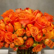 Southern Peach - beverlyhillsflorist
