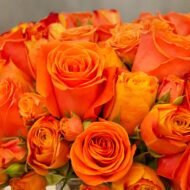 Southern Peach - beverlyhillsflorist