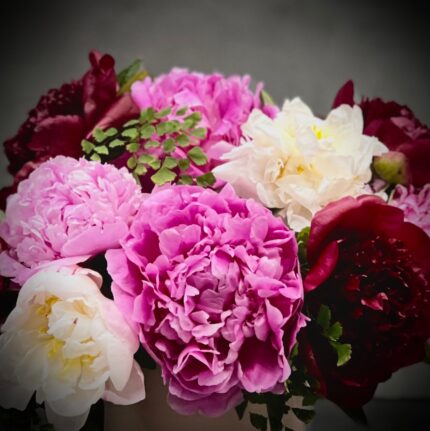 Peony Truffles - beverlyhillsflorist