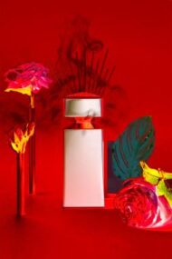 Bulgari: The Perfume of Gems Hardcover - beverlyhillsflorist