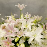 Duet Casablanca In A Vase - beverlyhillsflorist
