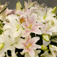 Duet Casablanca In A Vase - beverlyhillsflorist