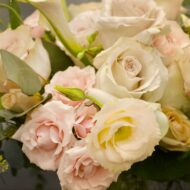 Designers Choice - Pink Paradise - beverlyhillsflorist