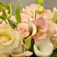 Designers Choice - Pink Paradise - beverlyhillsflorist