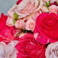 Pinkaholic - beverlyhillsflorist