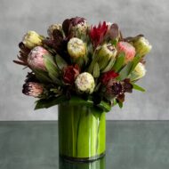 Posh Proteas - beverlyhillsflorist