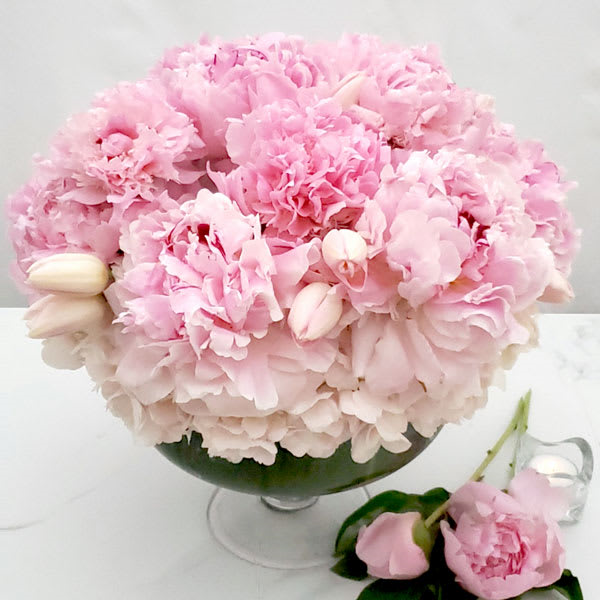 Pink Serenade - beverlyhillsflorist