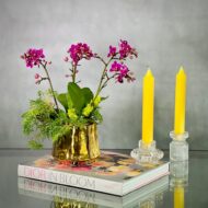 Purple Gold Orchids - beverlyhillsflorist