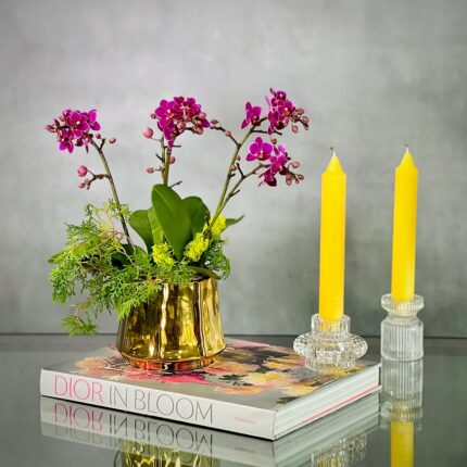 Purple Gold Orchids - beverlyhillsflorist