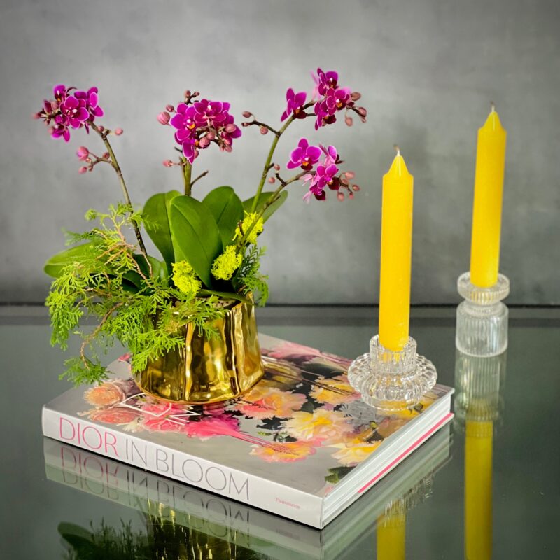 Purple Gold Orchids - beverlyhillsflorist