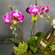 Gone with the Wind - beverlyhillsflorist