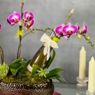 Gone with the Wind - beverlyhillsflorist