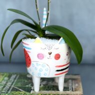 Kitty Orchids - beverlyhillsflorist