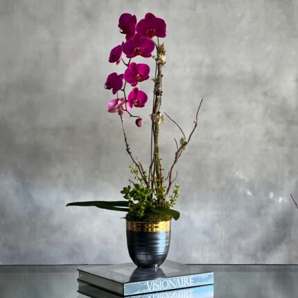 Purple Orchid Ovation - beverlyhillsflorist