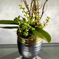 Purple Orchid Ovation - beverlyhillsflorist