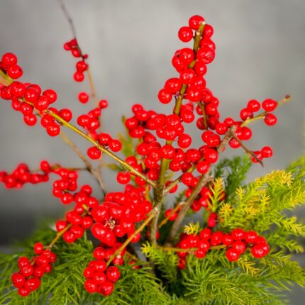 Simply Ilex - beverlyhillsflorist