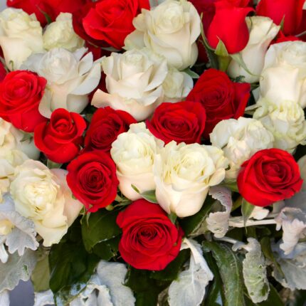 Red & White Checker Roses - beverlyhillsflorist