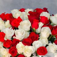 Valentines - Red & White Checker Roses - beverlyhillsflorist